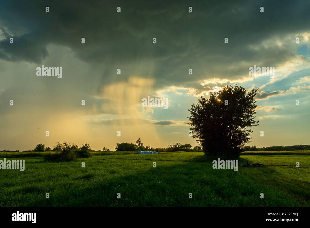 Naturphänomen, sonnenbeleuchteter Regen und grüne Wiese Stockfoto