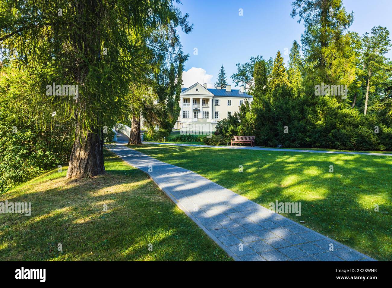 Landschaft im Park mit Bäumen und grünem Grasfeld Stockfoto