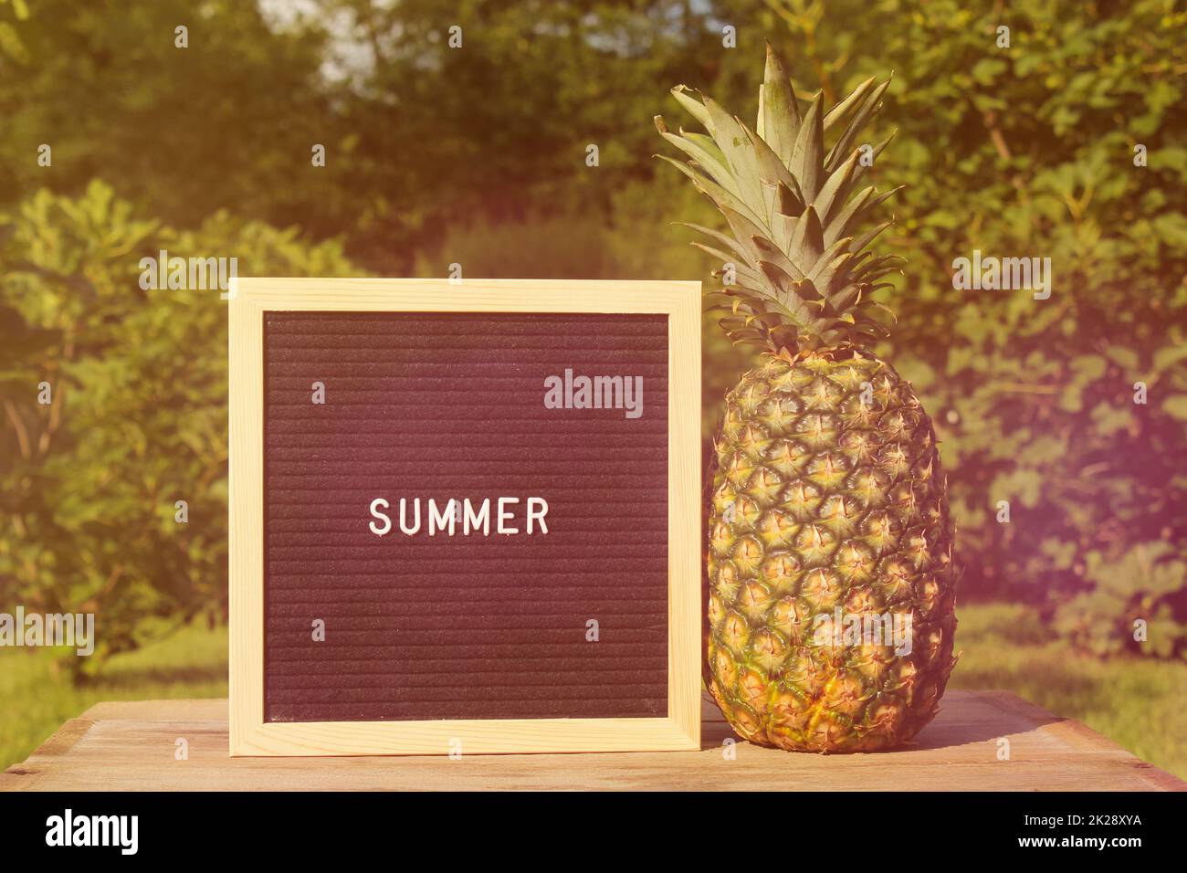 Frische Ananas im Freien mit Schildern für Sommerangebote, Garten im Hintergrund Stockfoto