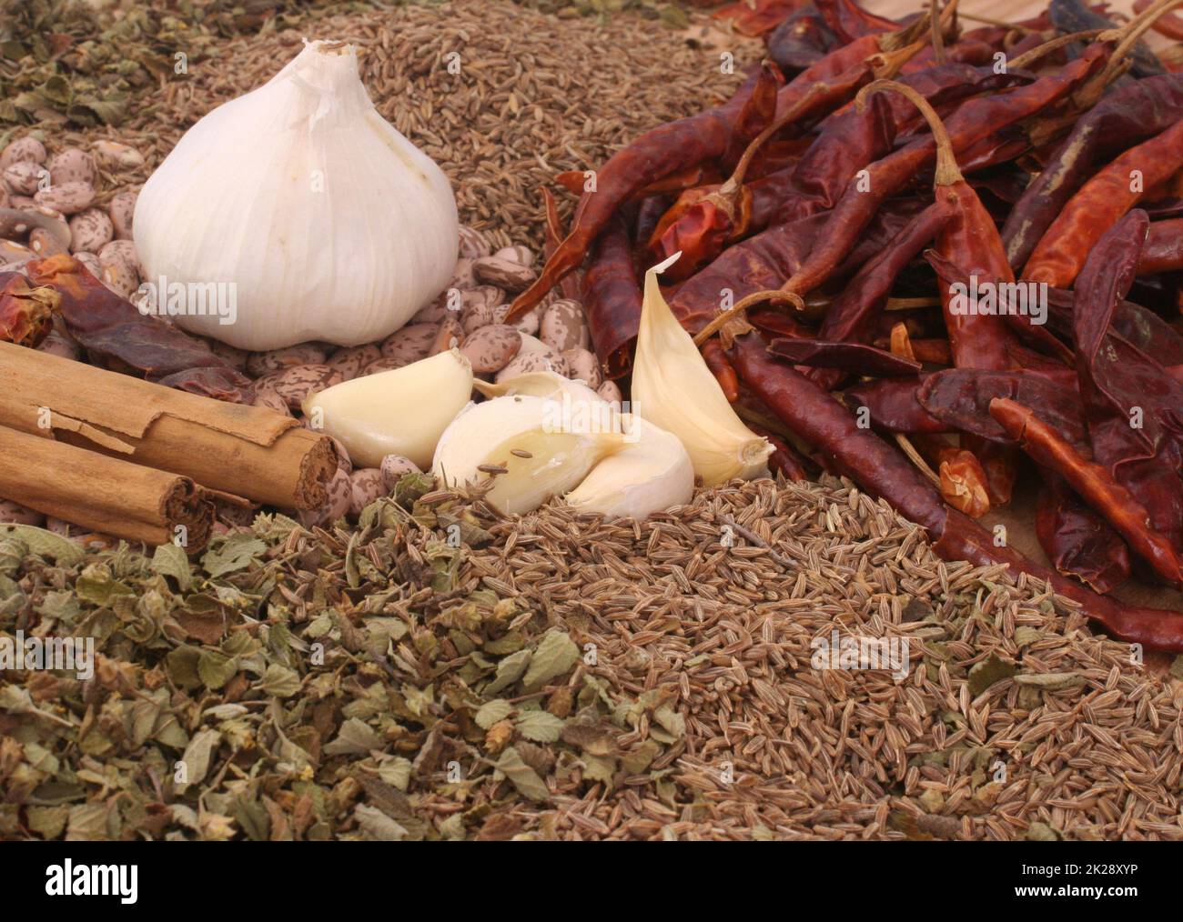 Bohnen, Knoblauch, Paprika und mexikanischer Oregano, Nahaufnahme Stockfoto