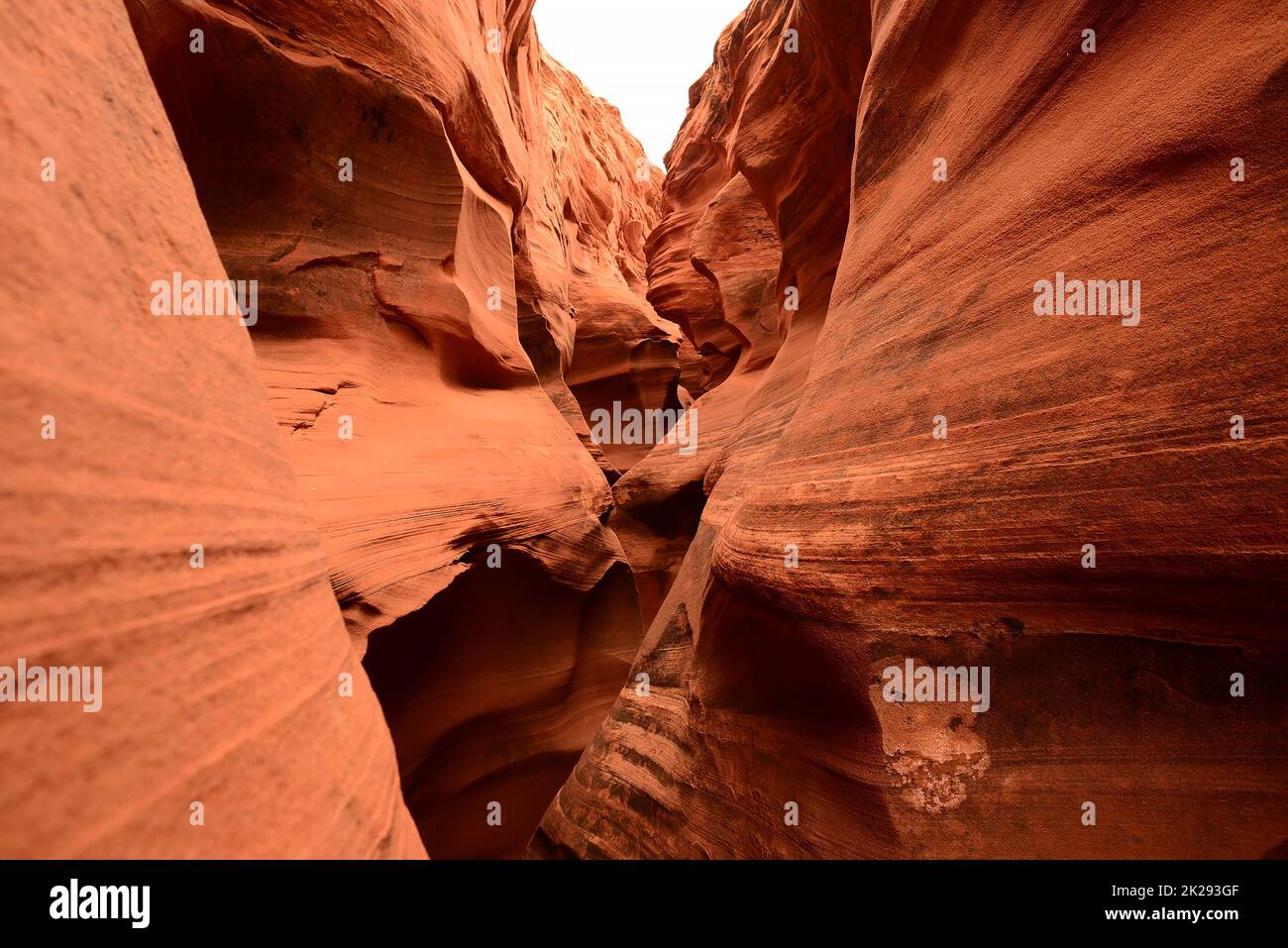 Klapperschlange Canyon Arizona Stockfoto