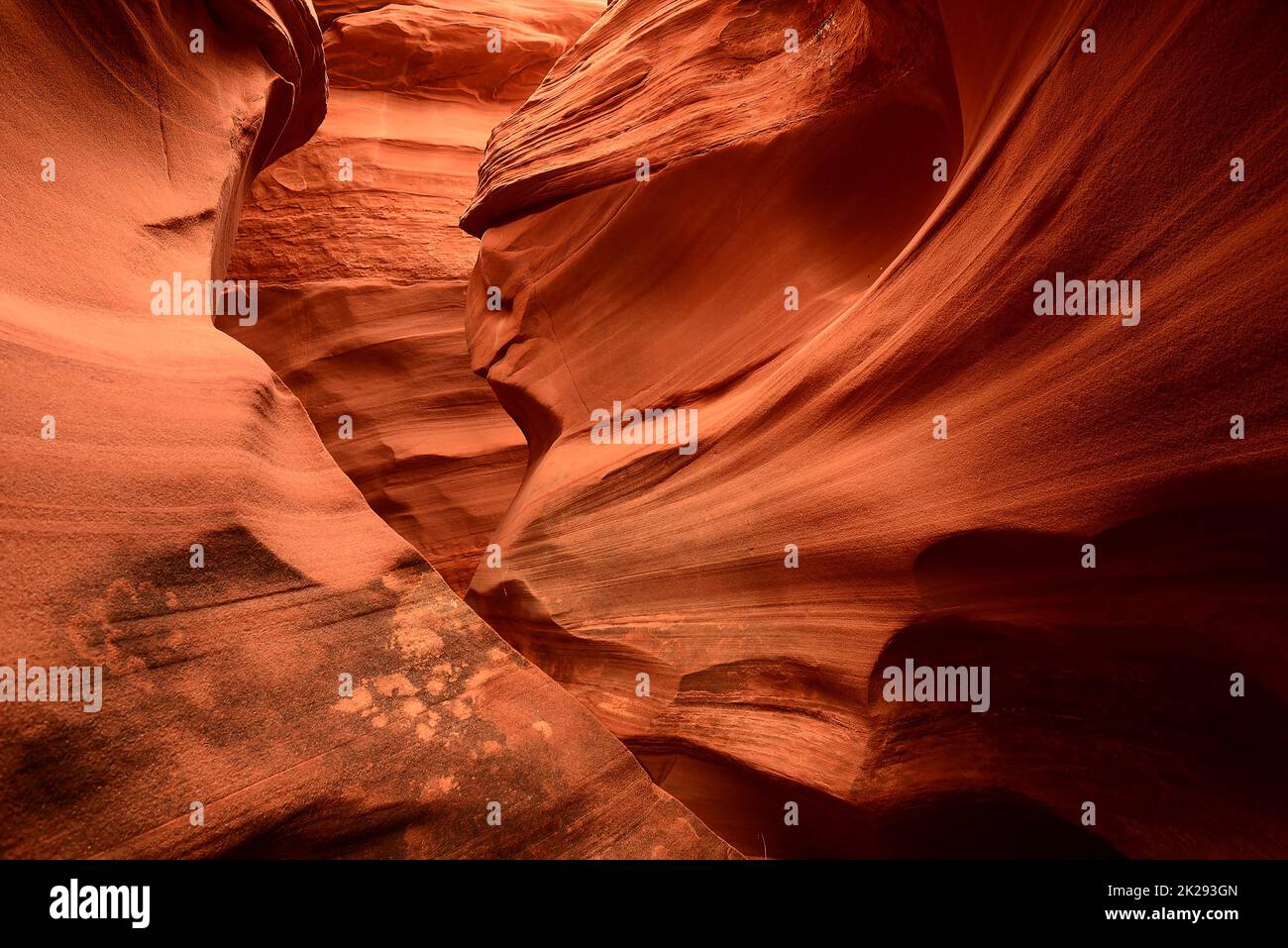 Klapperschlange Canyon Arizona Stockfoto