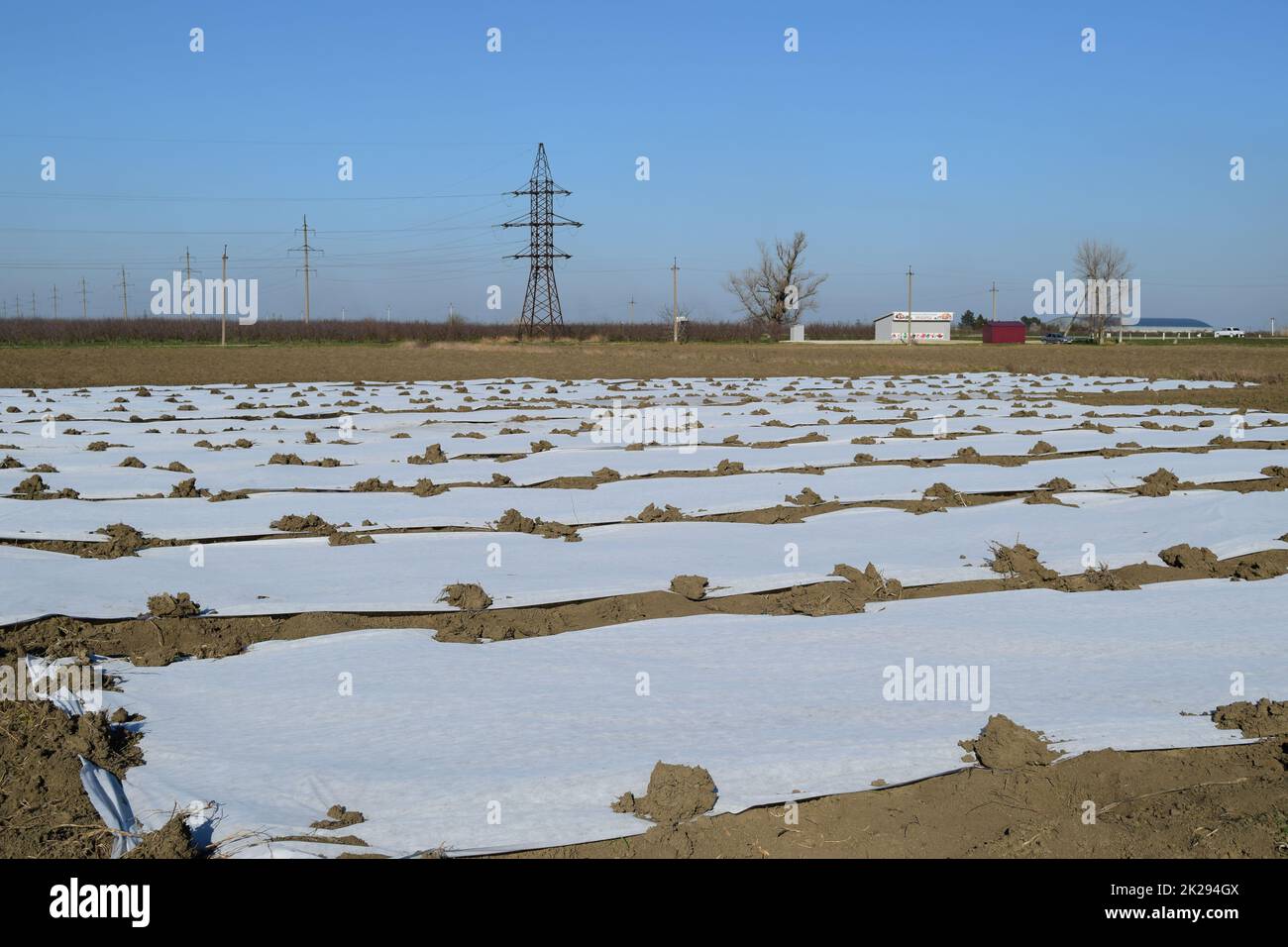 Gewächshäuser aus Polymerfolie. Frühling in den Gewächshäusern Stockfoto