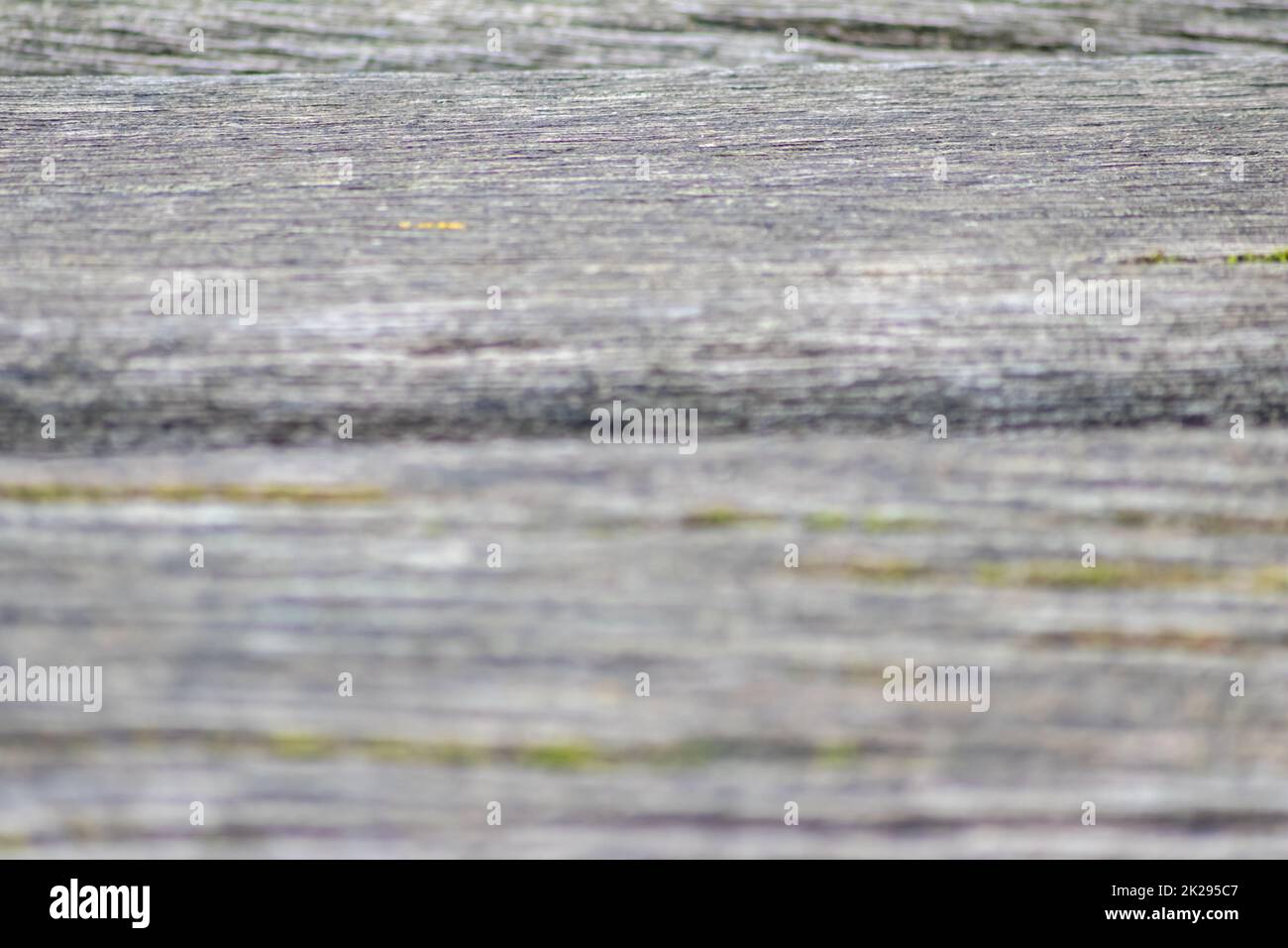 Grauer Holzhintergrund Nahaufnahmen von alten Brettern und graues Holz im Vintage-Stil und Grunge sehen als rustikale raue und antike organische Oberfläche zur Dekoration von Hintergründen oder als natürliches Rahmendesign aus Stockfoto
