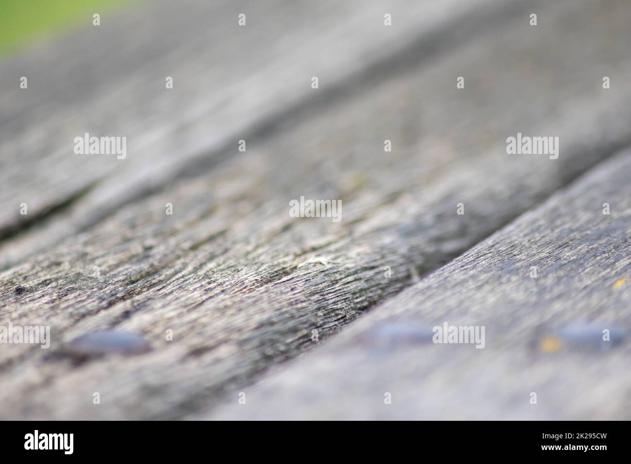 Grauer Holzhintergrund Nahaufnahmen von alten Brettern und graues Holz im Vintage-Stil und Grunge sehen als rustikale raue und antike organische Oberfläche zur Dekoration von Hintergründen oder als natürliches Rahmendesign aus Stockfoto