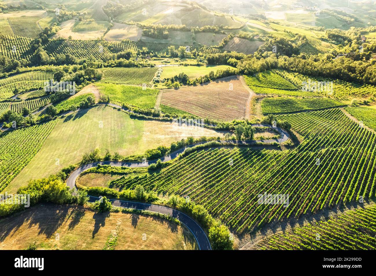 Luftaufnahme der Hügel in Oltrepo' Pavese bedeckt mit Weinbergen und Feldern bei Sonnenuntergang, Lombardei, Italien Stockfoto