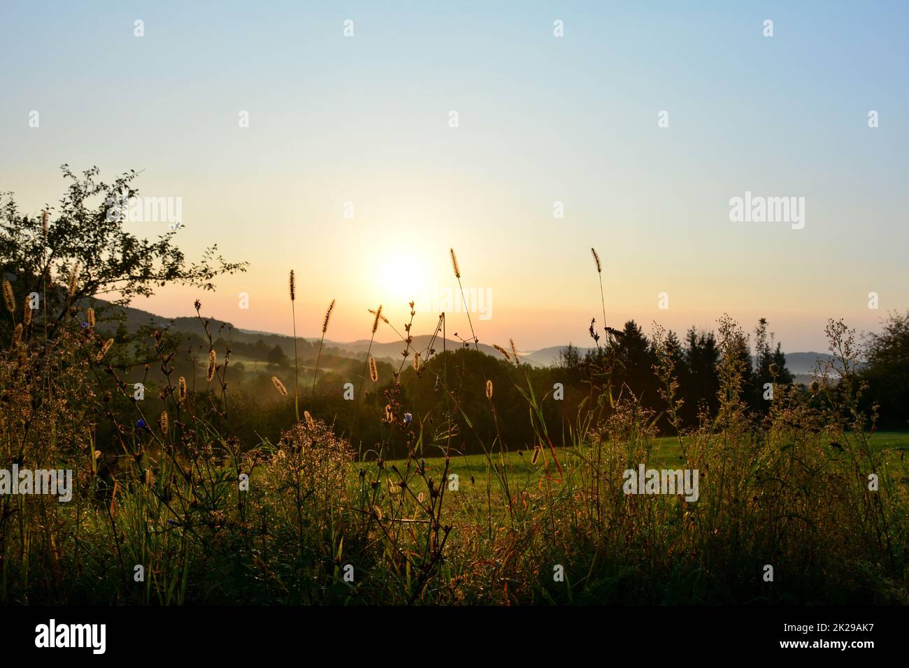 Morgenidyll in grüner Natur mit Wiesen und Sonne Stockfoto