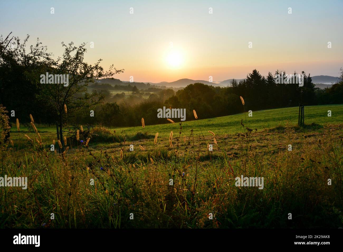 Morgenidyll in grüner Landschaft Stockfoto