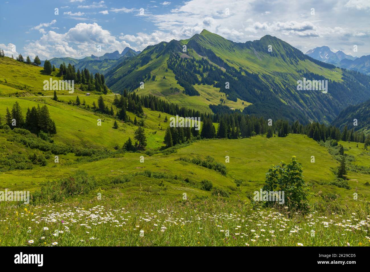 Typische Alpenlandschaft im Frühsommer bei Damuls, Vorarlberg, Österreich Stockfoto