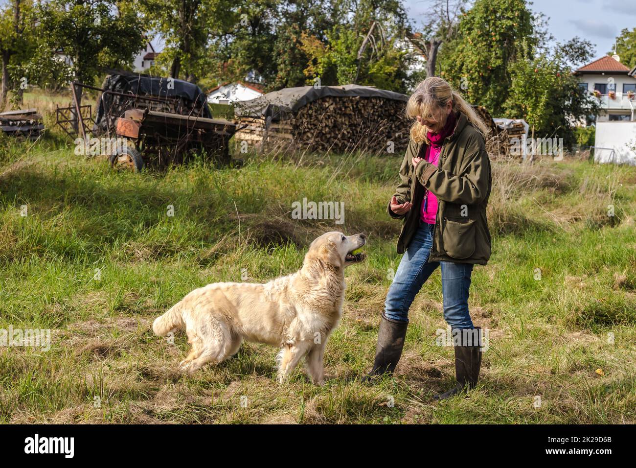 Freundliche Hundetrainerin mit Golden Retriever Stockfoto