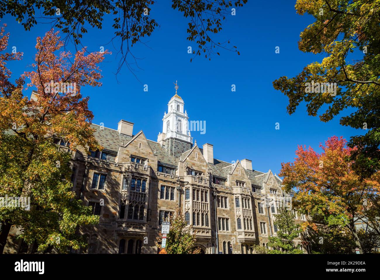 Yale-Universitätsgebäude in New Haven, CT, USA Stockfoto
