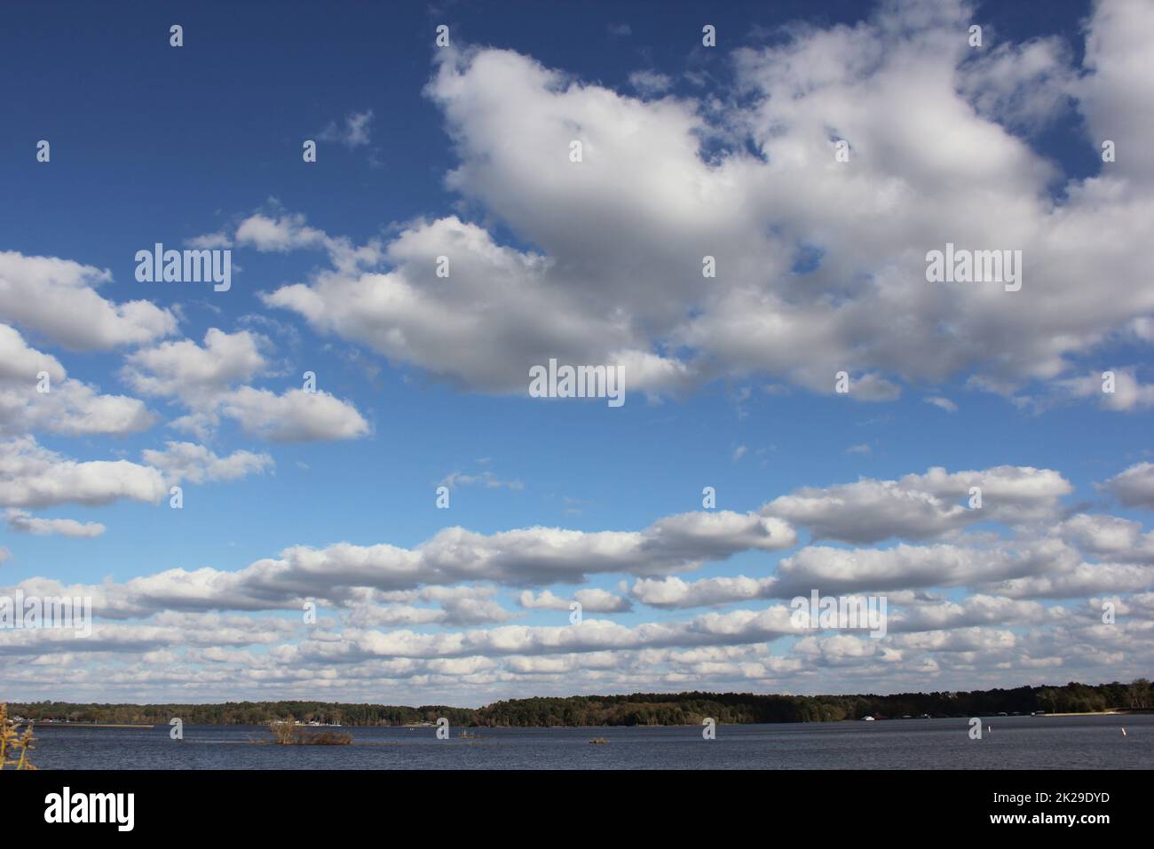 Lake Tyler in der Nähe von Whitehouse TX mit Blue Sky und flauschigen Wolken Stockfoto