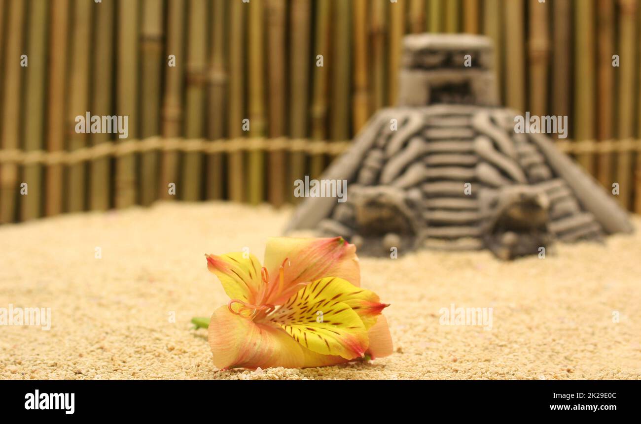 Blume am Strand mit Aztekenpyramide im Hintergrund Stockfoto