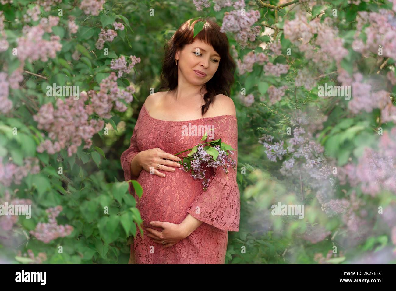 Eine junge Schwangere steht in den Fliederbüschen. Stockfoto