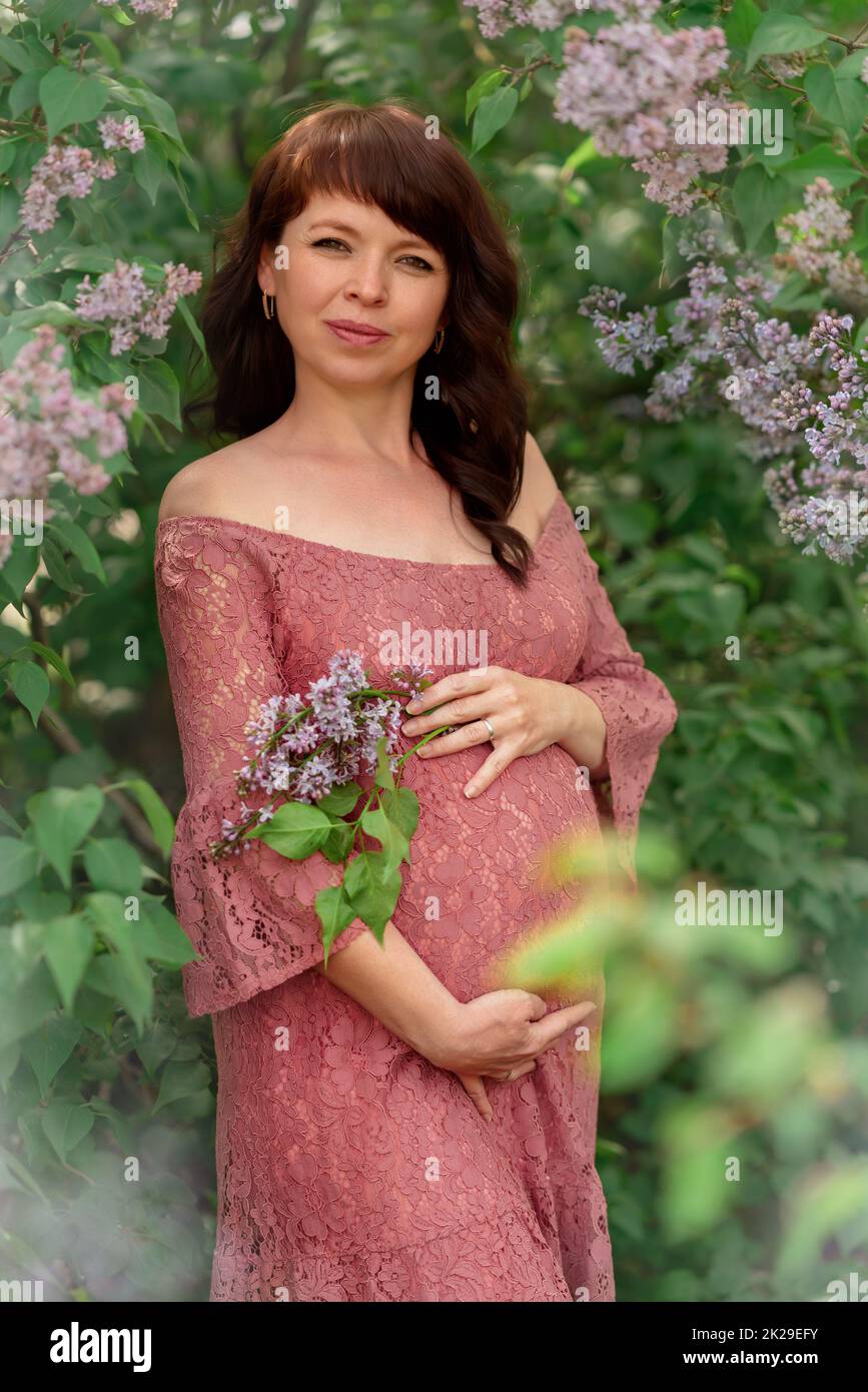 Eine junge Schwangere steht in den Fliederbüschen. Stockfoto