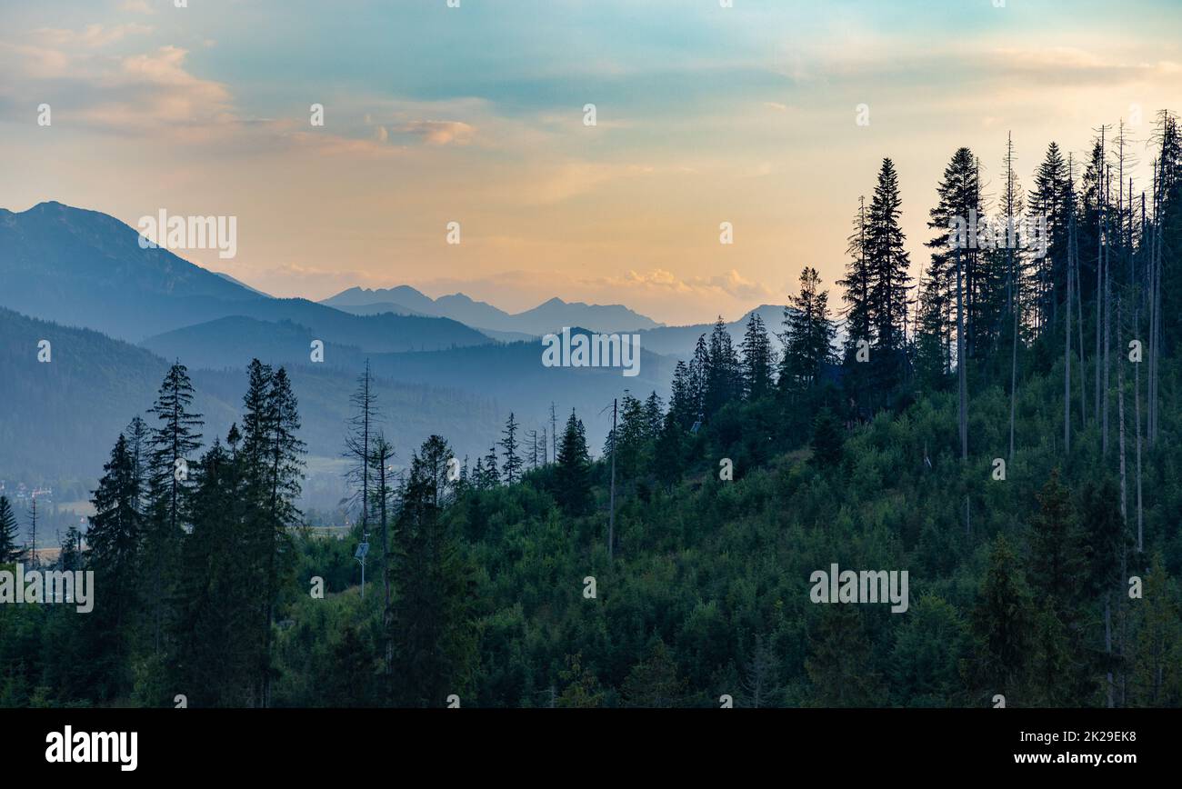Tatra-Gebirge Stockfoto