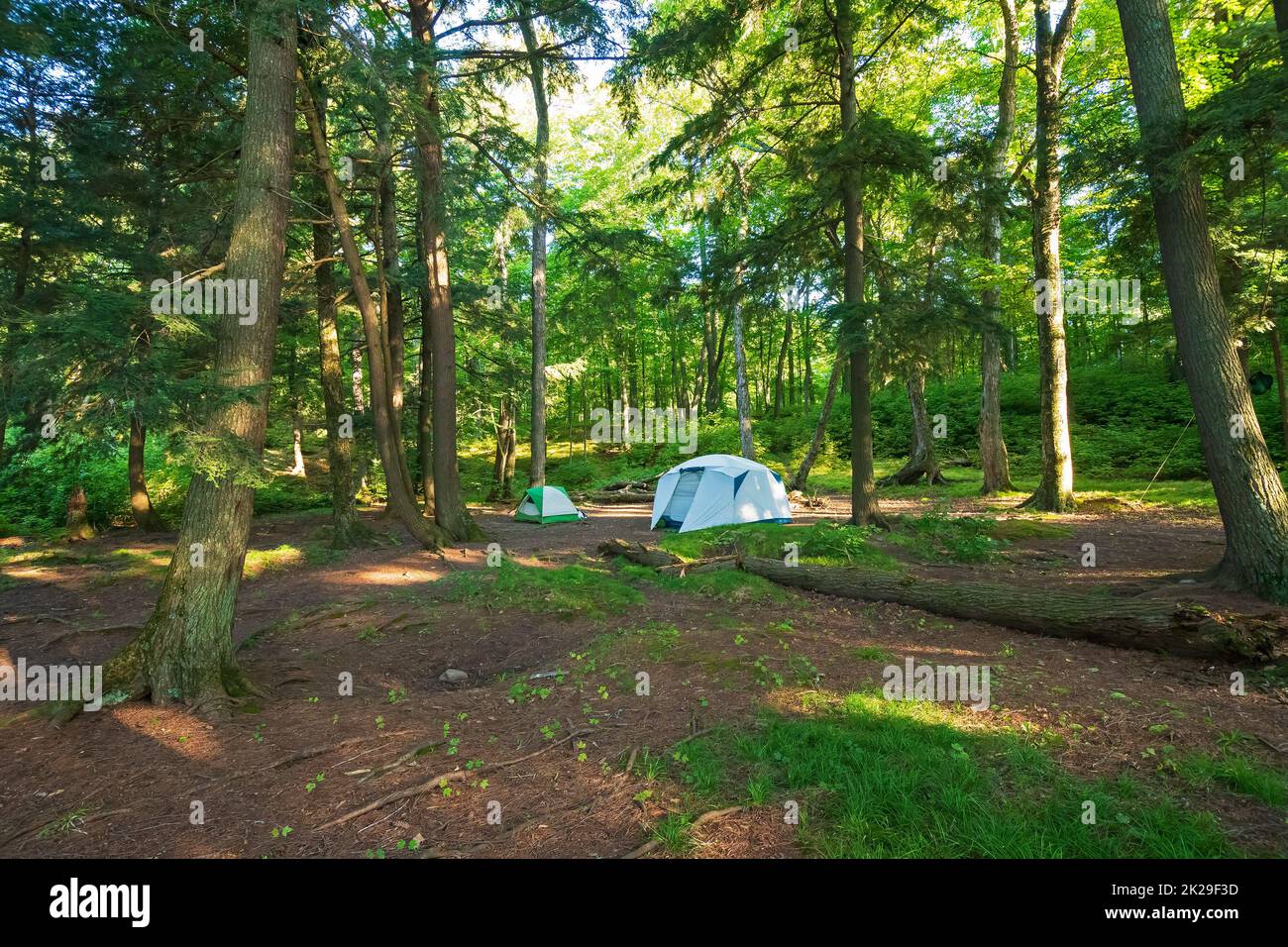 Ruhiger Campingplatz in den North Woods Stockfoto