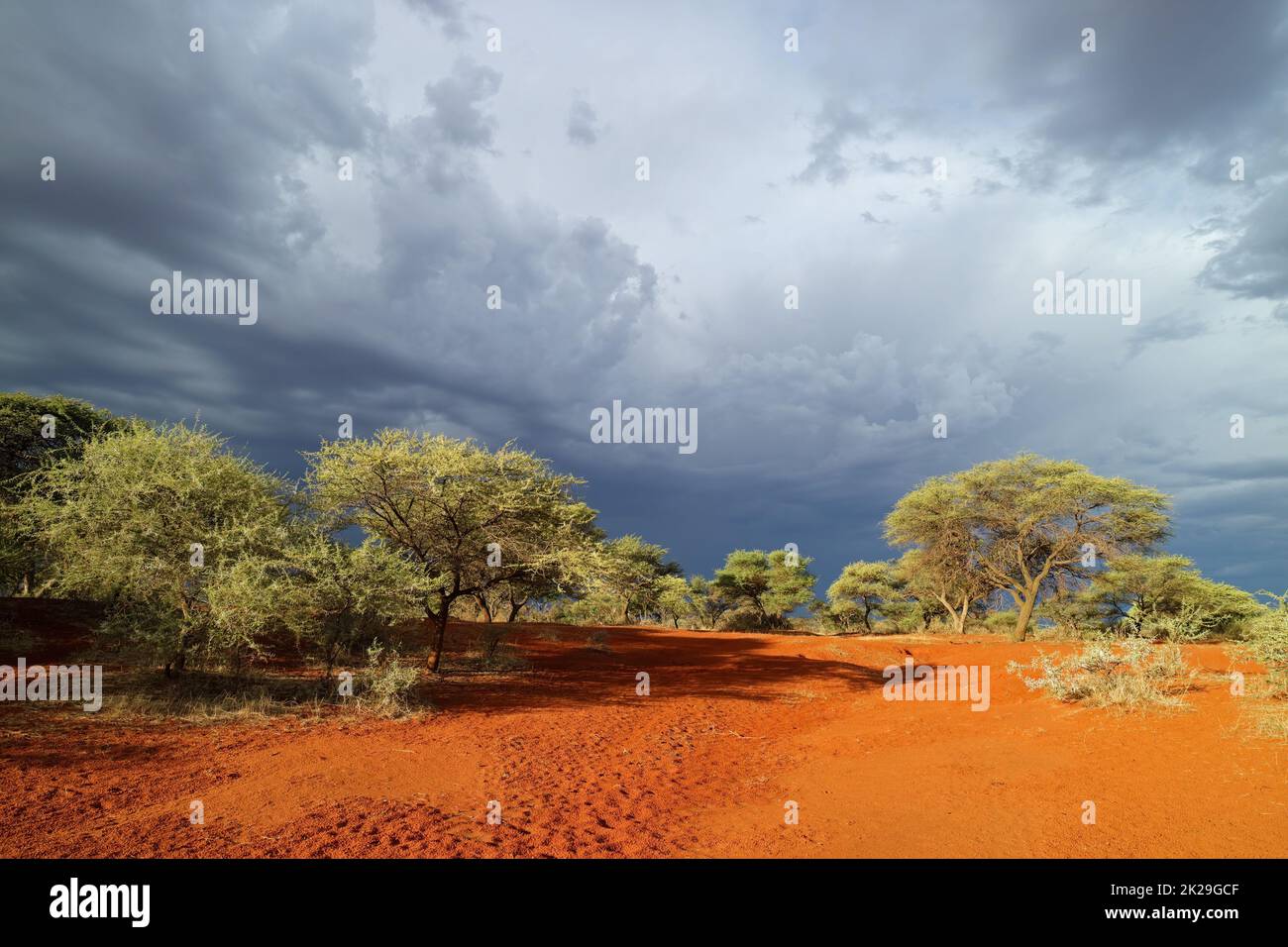 Afrikanische Landschaft gegen einen stürmischen Himmel Stockfoto