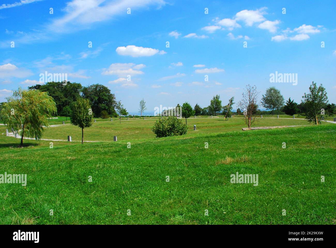 Baumgruppe Stockfoto