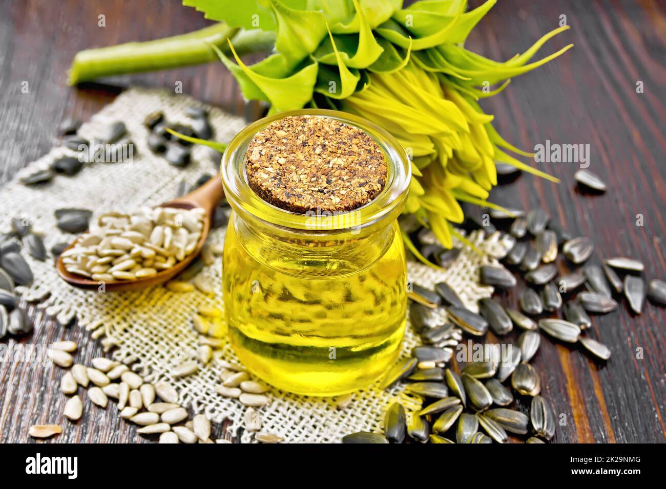 Sonnenblume im Glas mit Blume an Bord Ölen Stockfoto