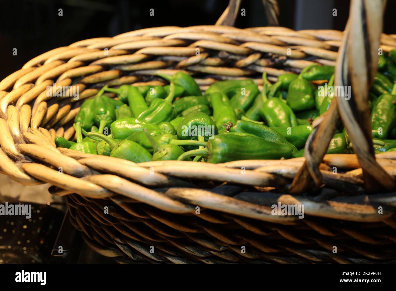 Frische, organische, grüne Paprika namens Pimientos in einem Korb Stockfoto