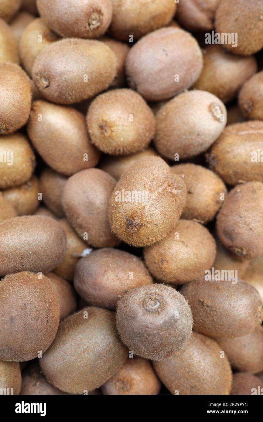Kiwis auf dem Farmers Market in Trentino. Italien Stockfoto