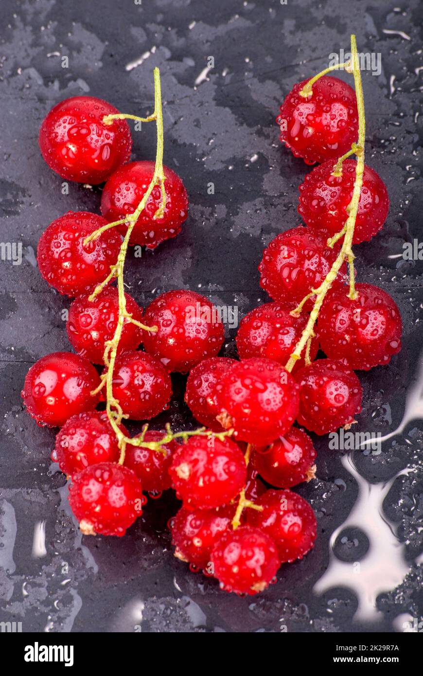 Beeren in Nahaufnahme Stockfoto