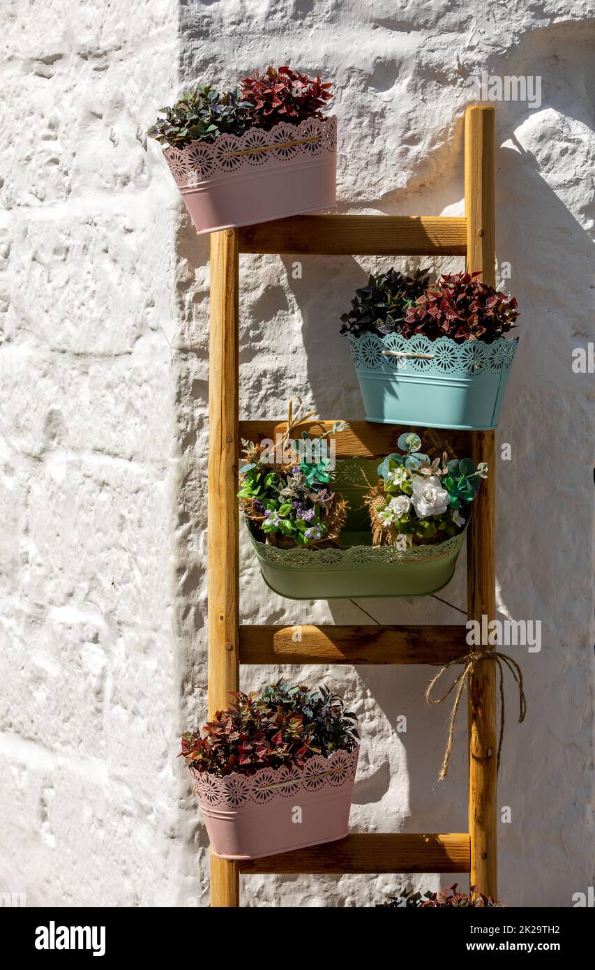 Ein Retro-Blumenbeet an einer weißen Wand in Alberobello. Italien Stockfoto