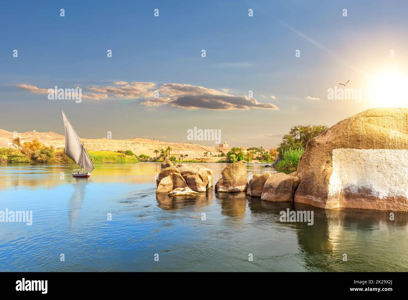 Nillandschaft und ein Segelboot, Assuan, Ägypten Stockfoto