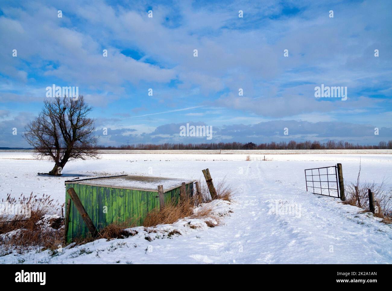 Schuppen und einsamer Baum in einer schneebedeckten Landschaft Stockfoto