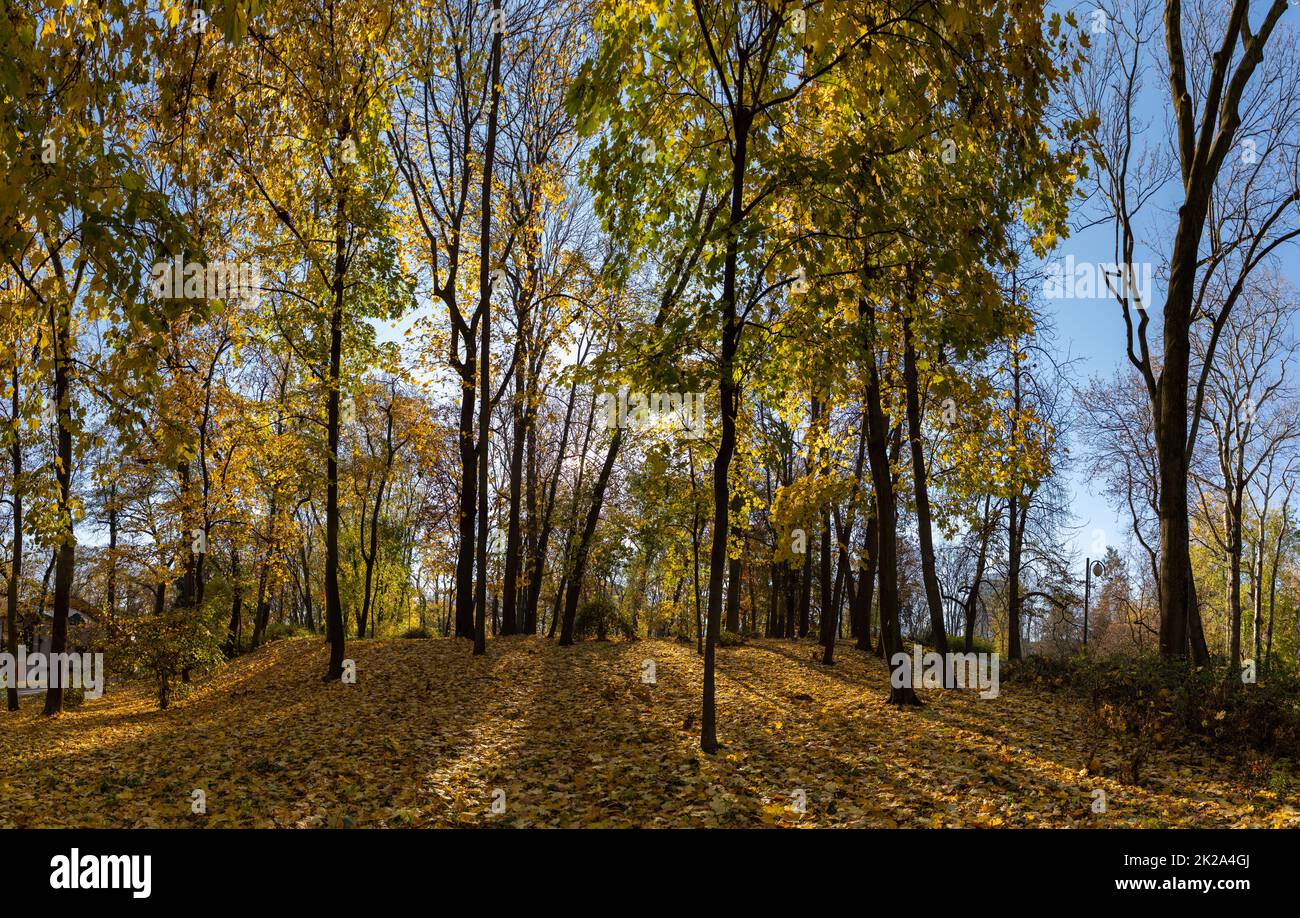 Saxon Garden im Herbst Stockfoto