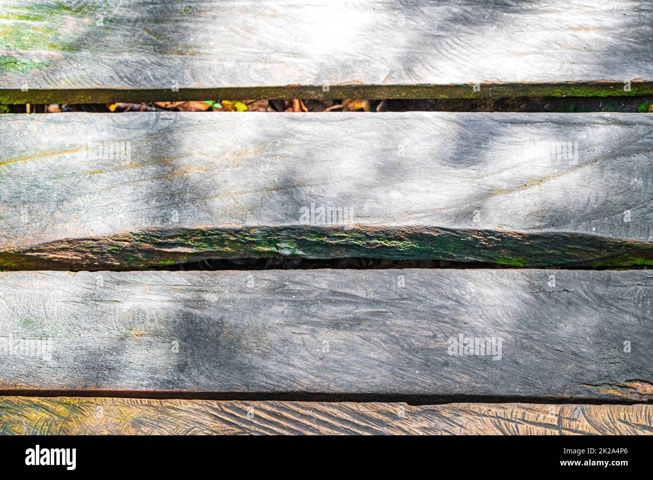 Holzwanderwege mit Struktur und gemusterten Latten Sian Kaan Mexico. Stockfoto