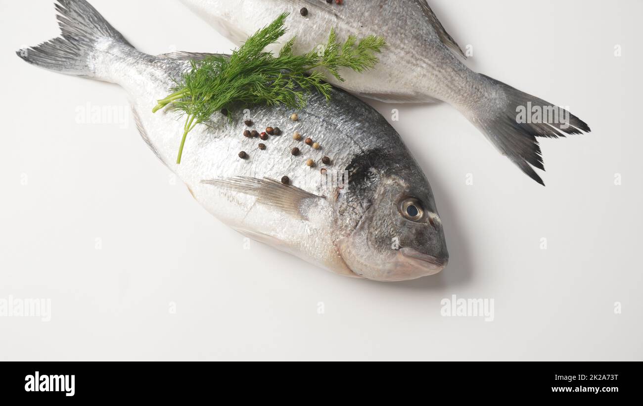 Roher, frischer, ungekochte dorado- oder Brassen-Fisch mit Zitrone, Kräutern, Kirschtomaten und Gewürzen auf schwarzem Hintergrund Stockfoto