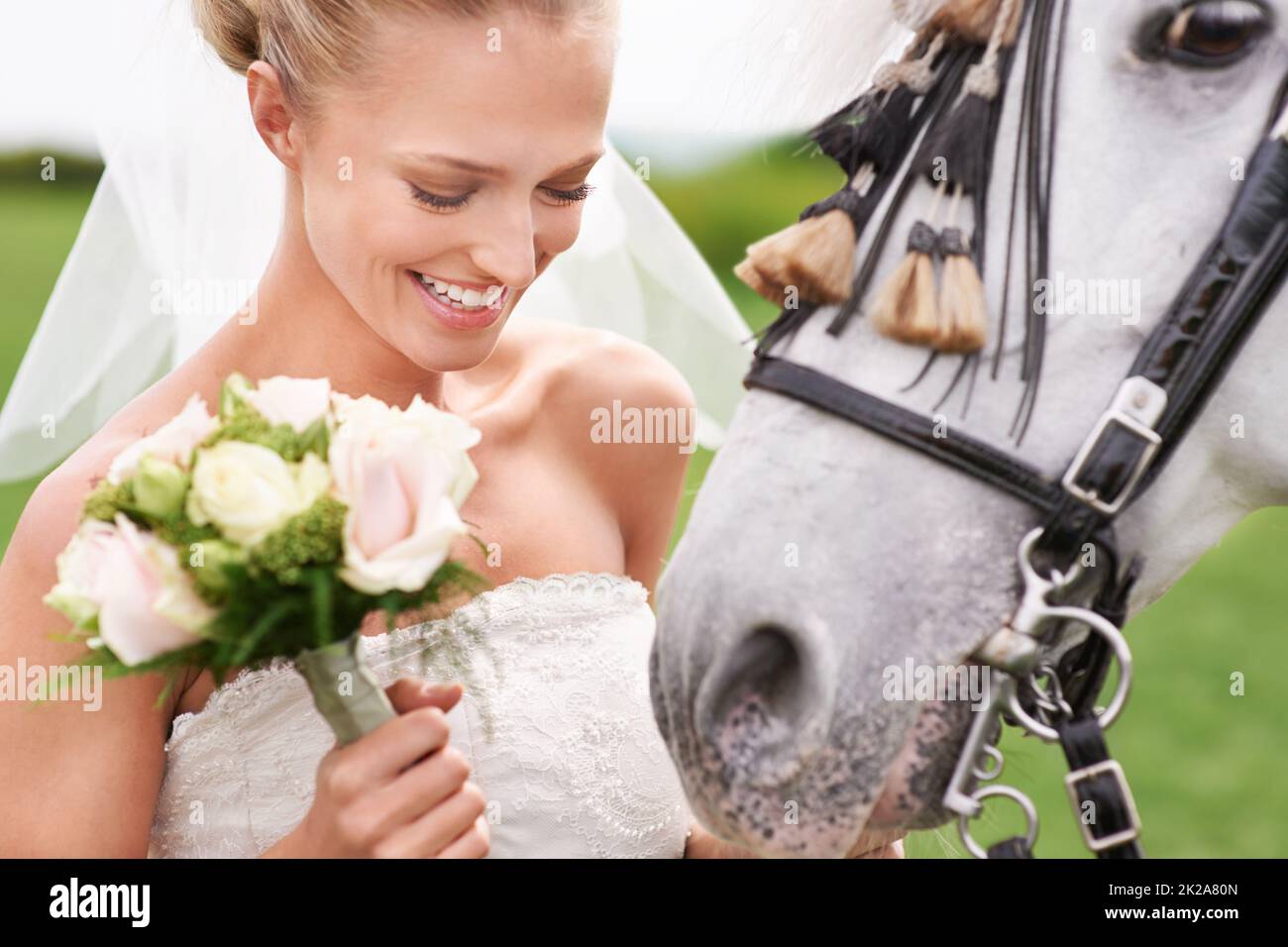 Sie kam zu ihrer Hochzeit auf dem Pferderücken. Eine attraktive junge Braut draußen mit ihrem Pferd. Stockfoto