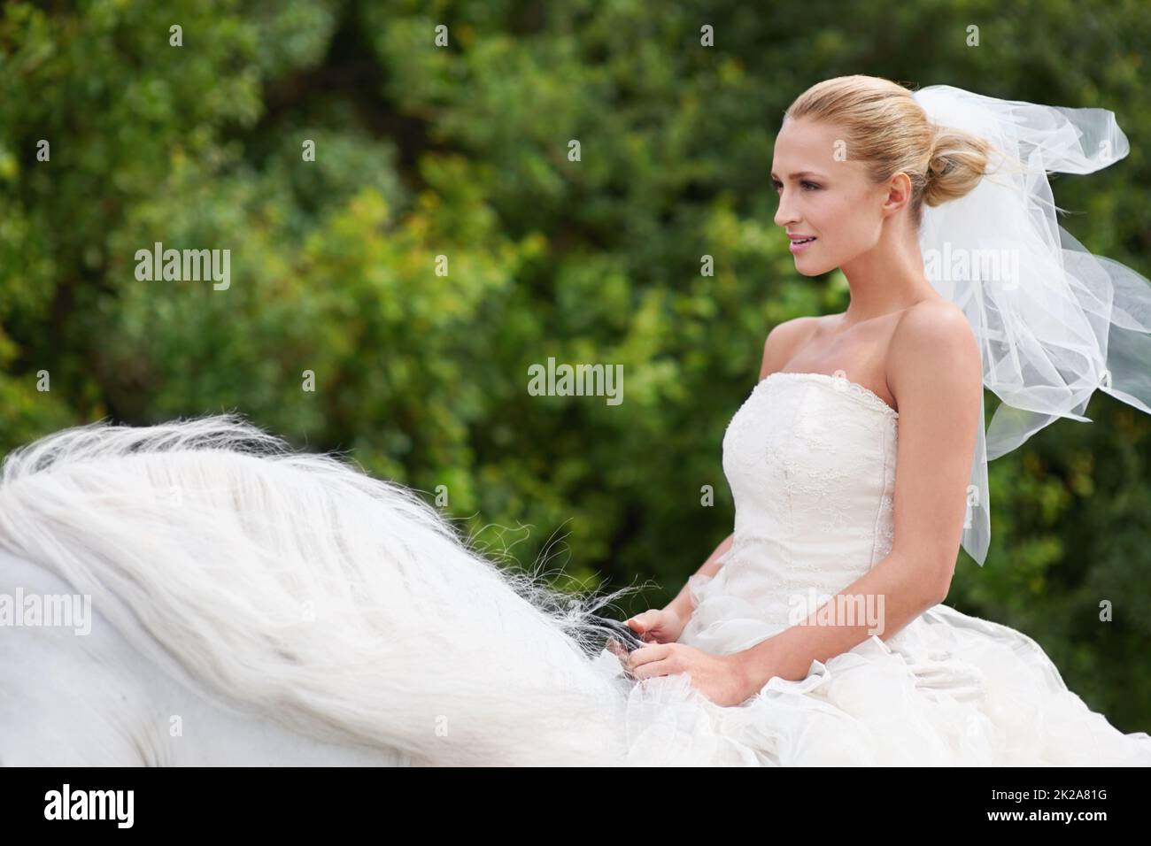 Reiten, um ihren weißen Ritter an dem besonderen Tag zu treffen. Eine wunderschöne junge Braut, die an ihrem Hochzeitstag auf einem weißen Pferd reitet. Stockfoto