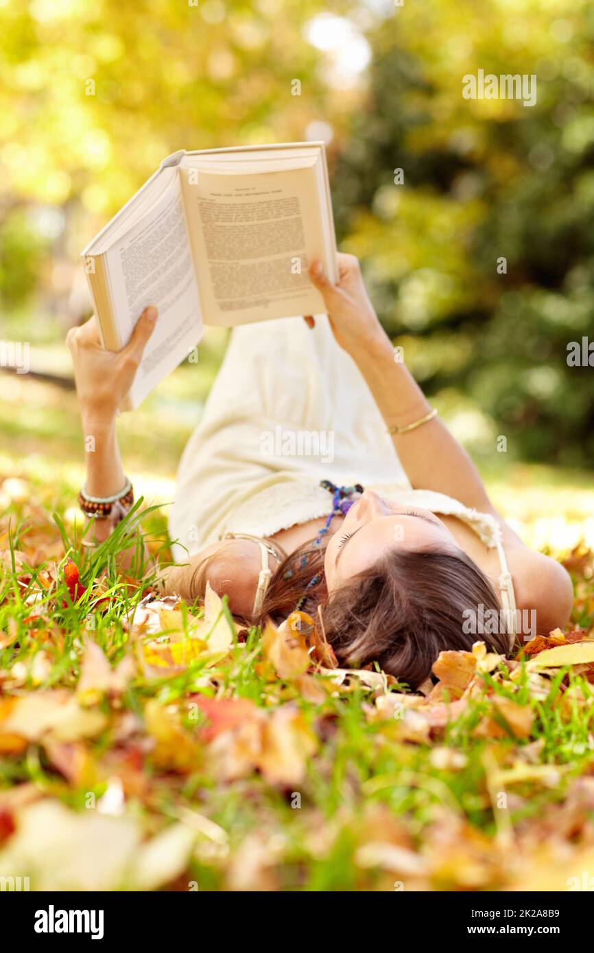 Herbstschönheit. Aufnahme einer attraktiven jungen Frau im Park an einem Herbsttag. Stockfoto
