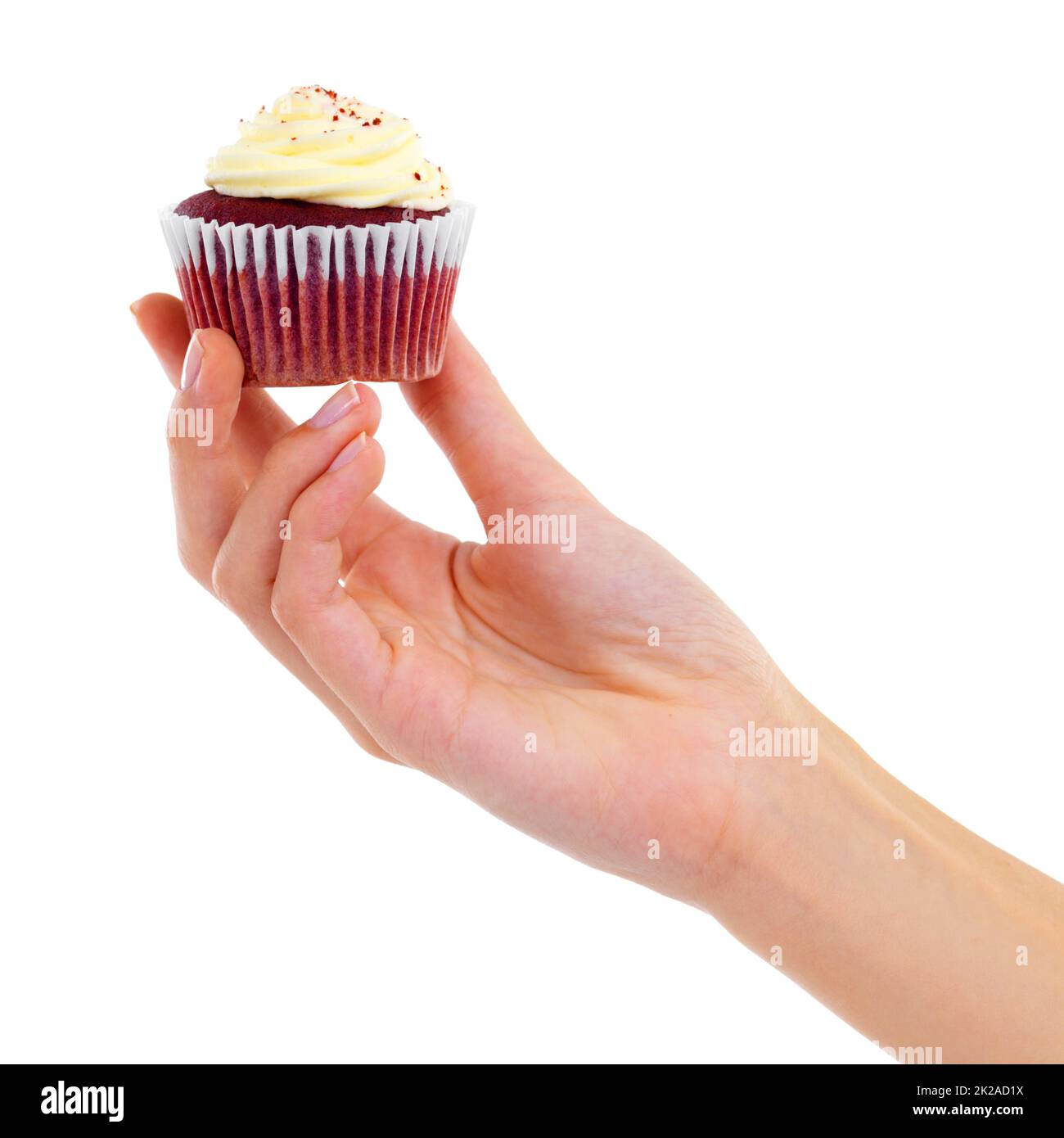 Frostige Güte. Nahaufnahme einer Frau, die einen Cupcake auf Weiß hält. Stockfoto