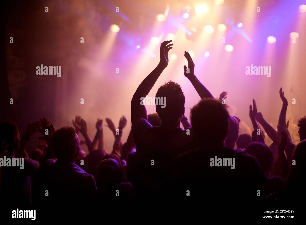 Rock on. Rückansicht eines Musikfans, der bei einem Musikkonzert mit erhobenen Armen tanzt. Stockfoto