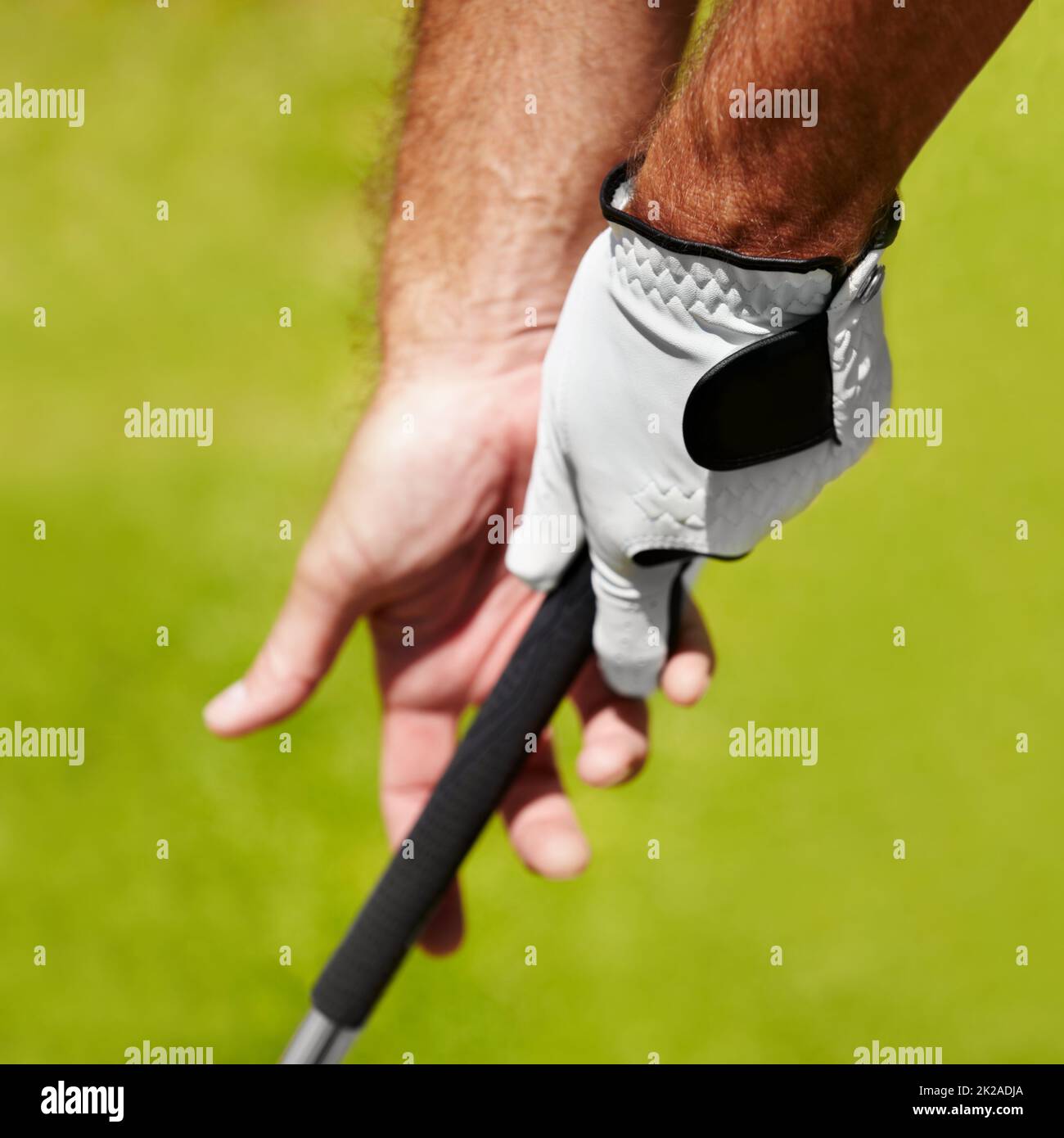 Der richtige Halt ist wichtig. Zugeschnittenes Bild eines Golfers, der den richtigen Griff zeigt. Stockfoto