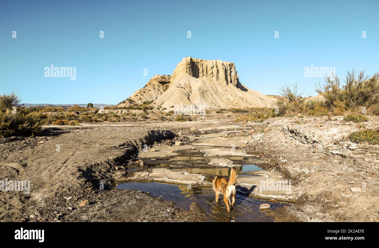Reisen Sie durch die Natur der Badlands in Europa Spanien Stockfoto