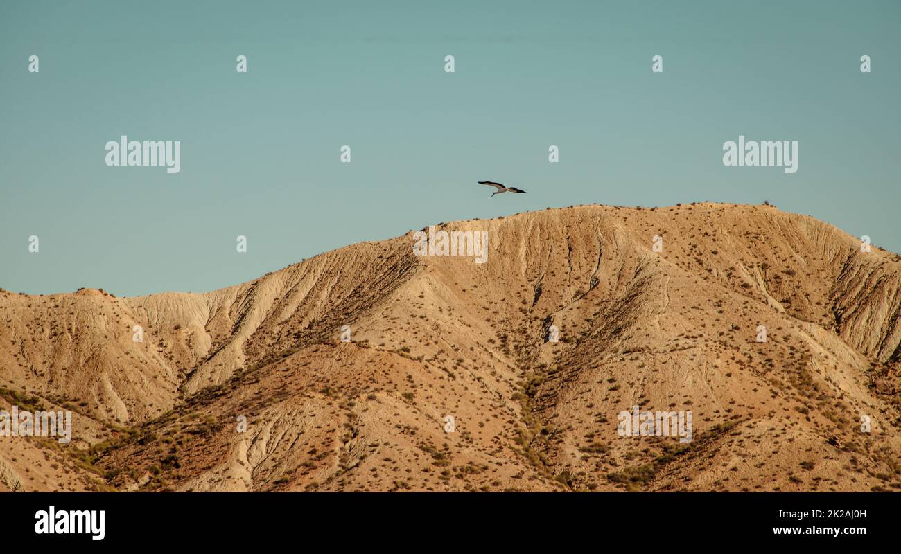 Naturreise Andalusien Spanien Stockfoto