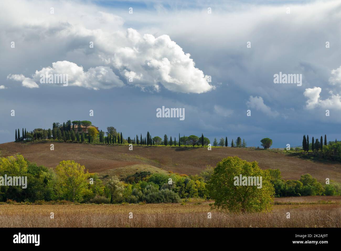 Typische toskanische Landschaft in der Nähe von Siena, Toskana, Italien Stockfoto