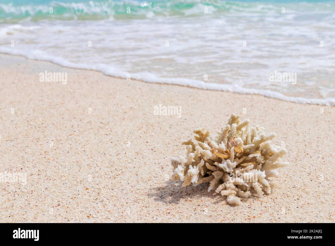 Eheringe auf Korallen am Strand. Flitterwochen in Thailand. Stockfoto