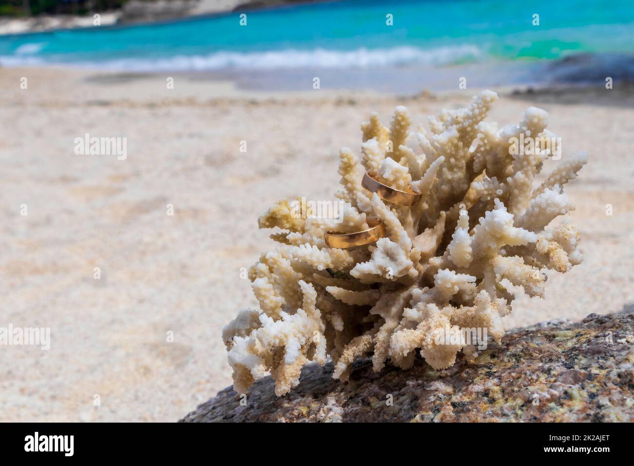 Eheringe auf Korallen am Strand. Flitterwochen in Thailand. Stockfoto