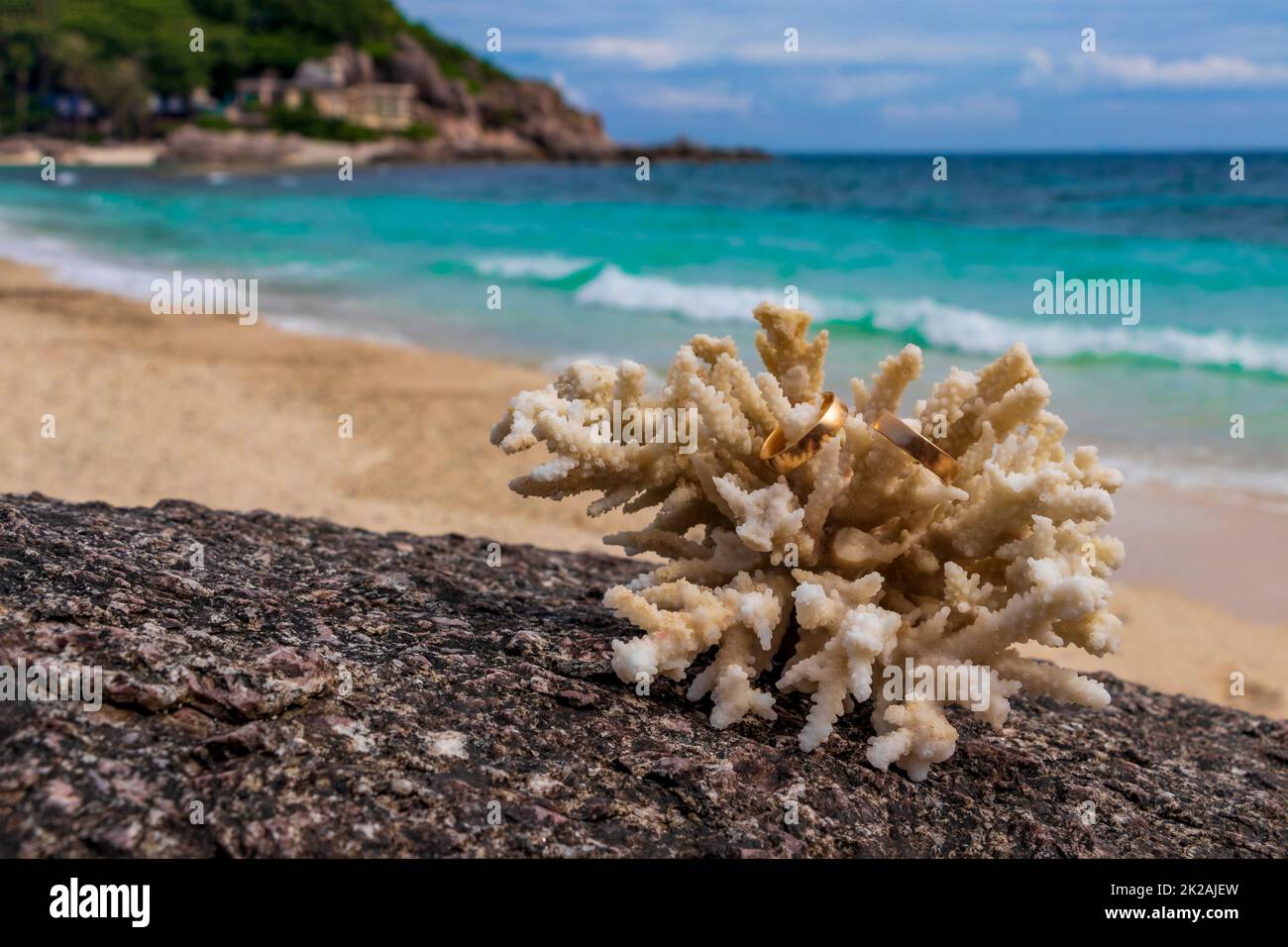 Eheringe auf Korallen am Strand. Flitterwochen in Thailand. Stockfoto