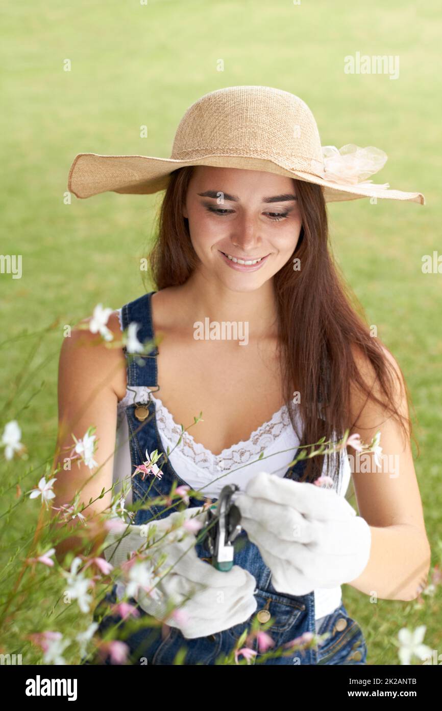 Hält ihren Garten in Topform. Eine attraktive junge Frau, die sich in ihrem Garten befindet. Stockfoto