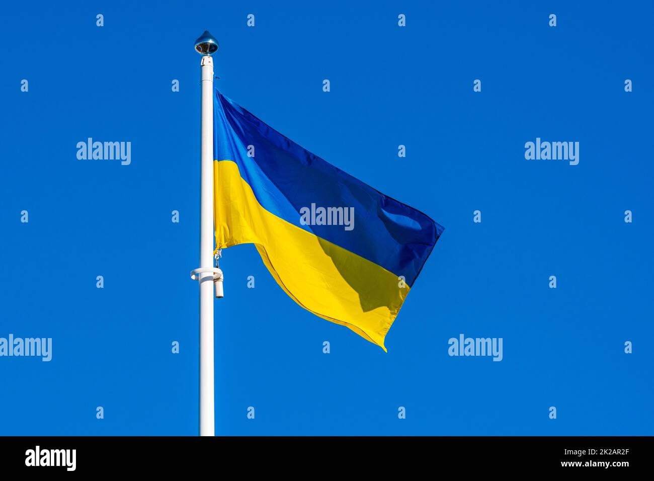 Ukrainische Flagge, die gegen einen blauen Himmel winkt Stockfoto