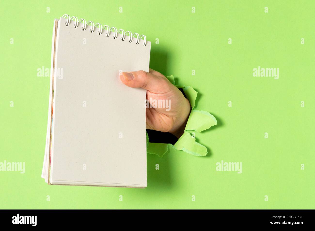 Hand mit Spiralnotizbuch durch Loch in grüner Papierwand Stockfoto