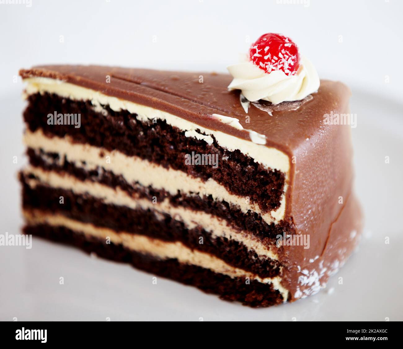 Dekadenz personifiziert. Ein Stück köstlicher Schokoladenkuchen auf einem weißen Teller. Stockfoto