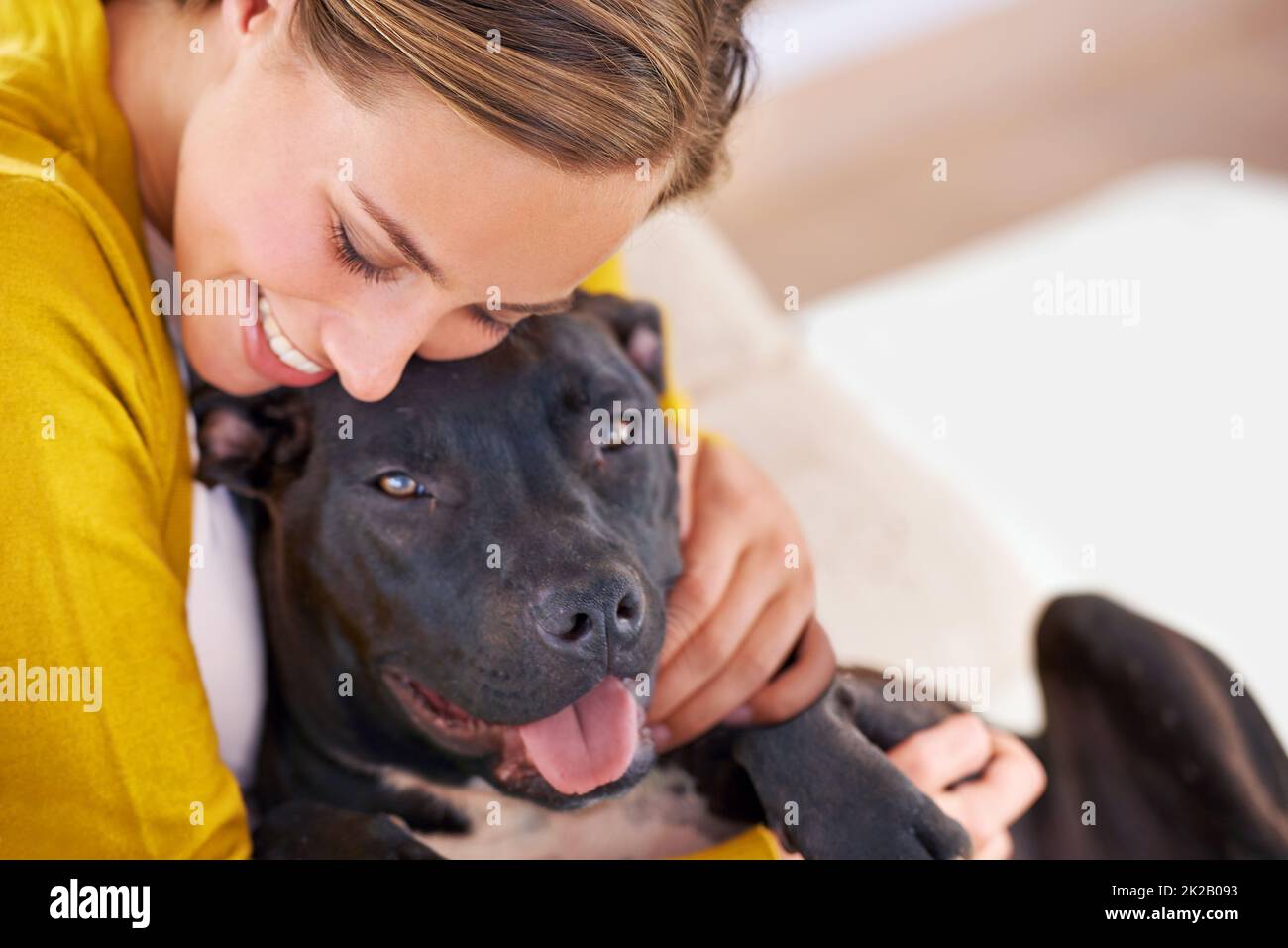 Die Verbindung zwischen Hund und Besitzer. Kurzer Schuss einer attraktiven jungen Frau, die mit ihrem Hund auf dem Sofa kuschelt. Stockfoto